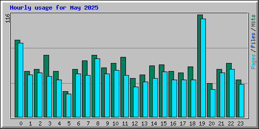 Hourly usage for May 2025