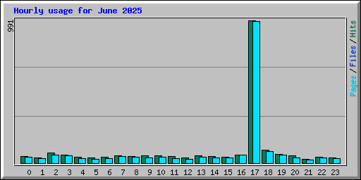 Hourly usage for June 2025