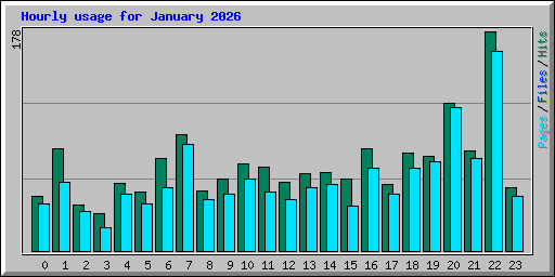 Hourly usage for January 2026