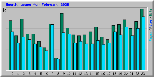 Hourly usage for February 2026